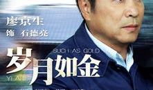 岁月如金电视剧,时光流转中的情感岁月